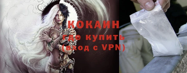 сатива Белая Холуница