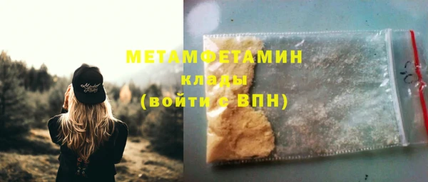 прущие грибы Няндома