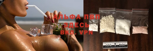 прущие грибы Няндома