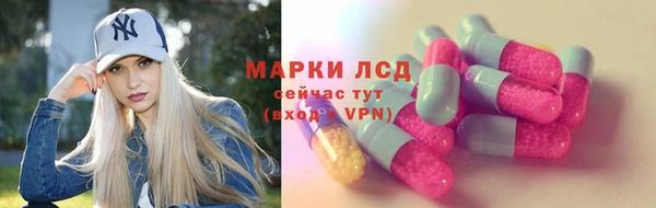 сатива Белая Холуница
