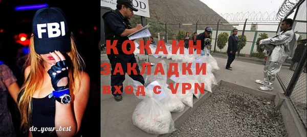 прущие грибы Няндома