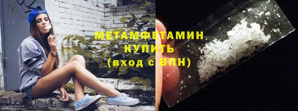 прущие грибы Няндома