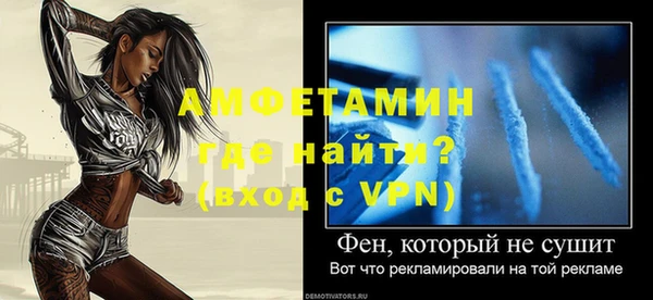 прущие грибы Няндома