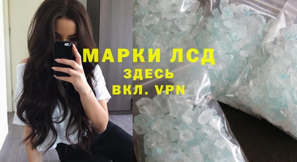 сатива Белая Холуница