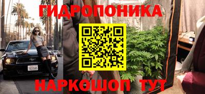 прущие крисы Бийск