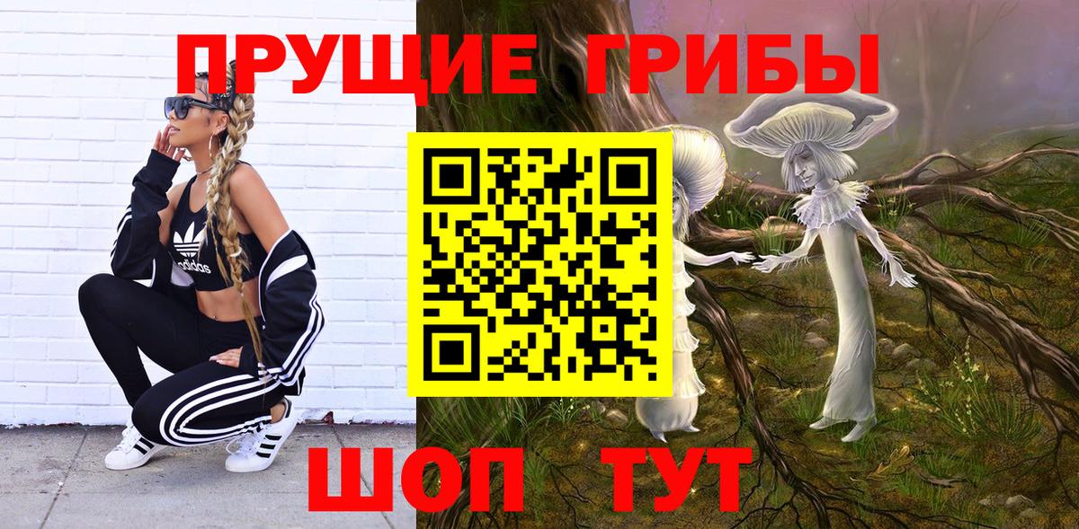 Богородицк  Псилоцибиновые грибы ЛСД  Вход с VPN 