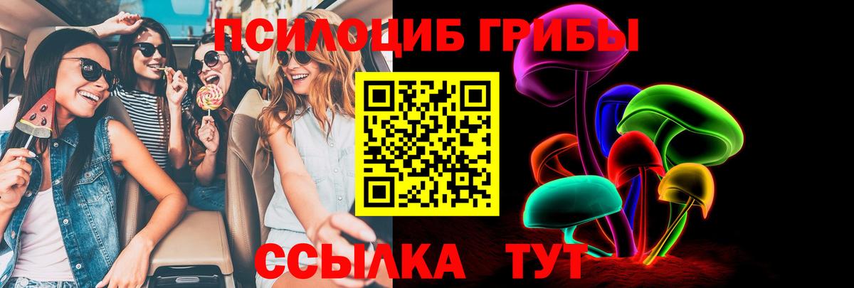 Псилоцибиновые грибы прущие грибы Богородицк